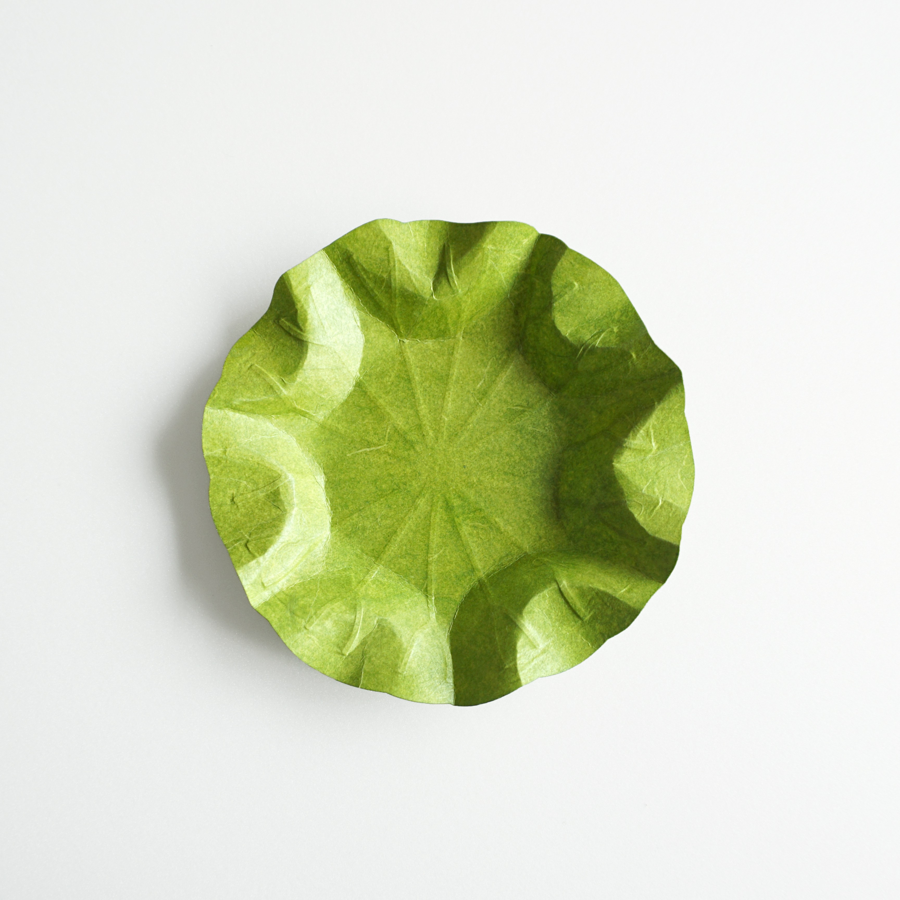 Flexible Hanji Paper Tray Lotus Leave (M) green 32x32cm